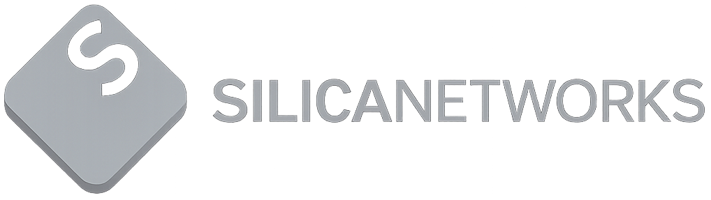 Silica Networks